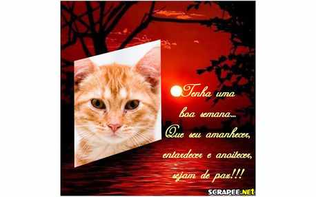 Moldura - Entardecer