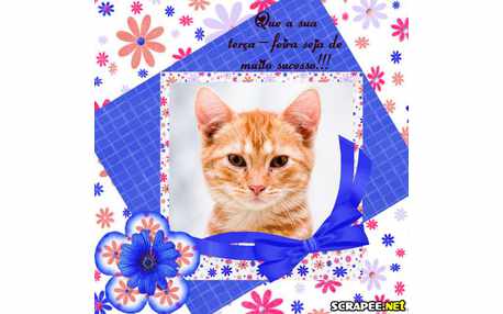 Moldura - Modelo Azul