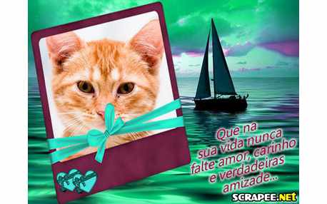 Moldura - Nunca Falte Amor