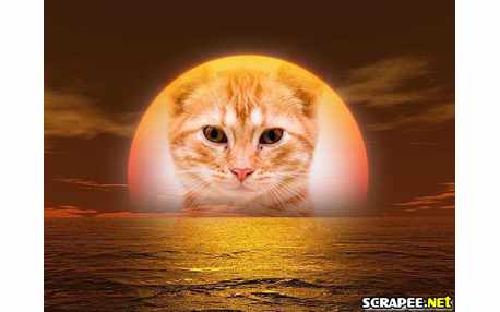 Moldura - Nascer Do Sol