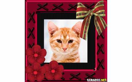 Moldura - Cor De Vinho