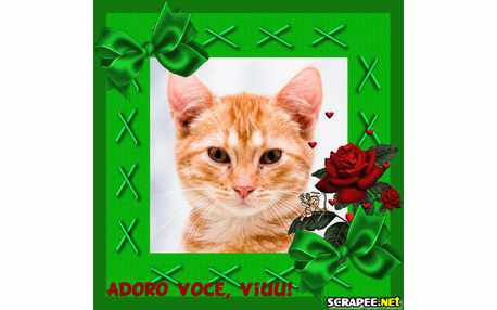 Moldura - Te Adoro Viu