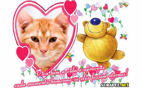 Moldura - Viva A Vida