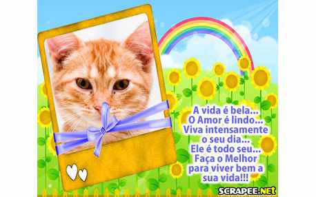 Moldura - A Vida E Bela