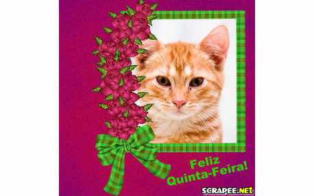 Moldura - Palmas Vinho