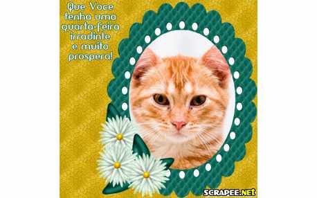 Moldura - Quarta Prospera