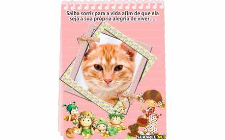 Moldura - Sorria Para A Vida