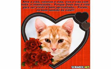 Moldura - Ame A Vida