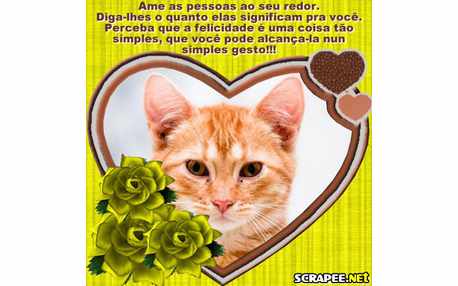 Moldura - Perceba A Felicidade