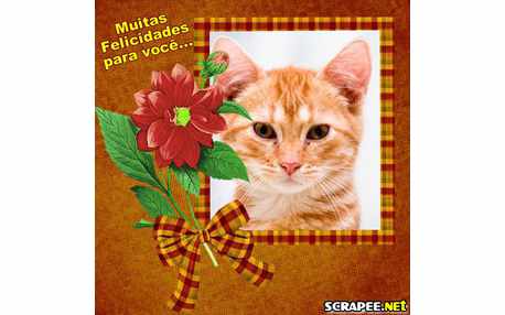 Moldura - Muitas Felicidades