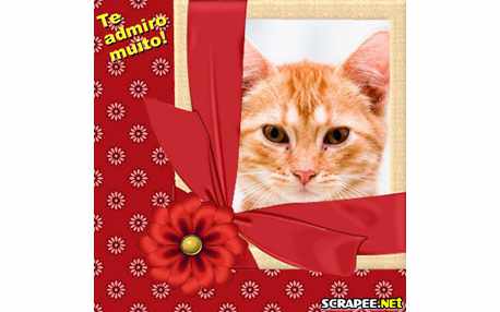 Moldura - Voce E Admiravel