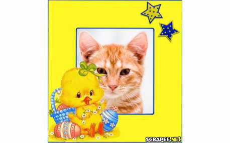 Moldura - Pintinho Amarelinho