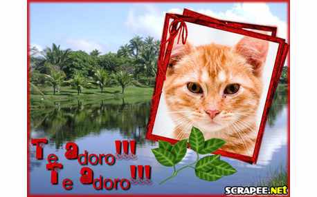 Moldura - Sobre O Rio