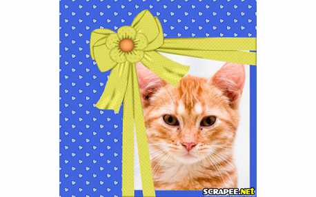 Moldura - Laco Amarelo