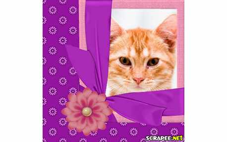 Moldura - Envolvido Ao Laco