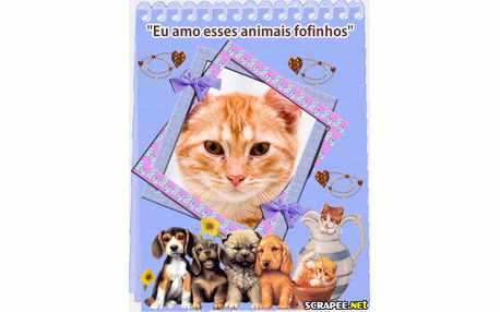 Moldura - Animais Fofinhos