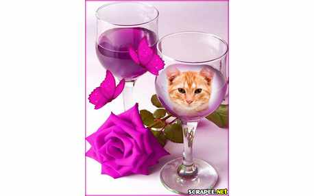 Moldura - Tacas E Borbotetas