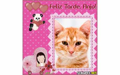 Moldura - Tarde Para Criancas