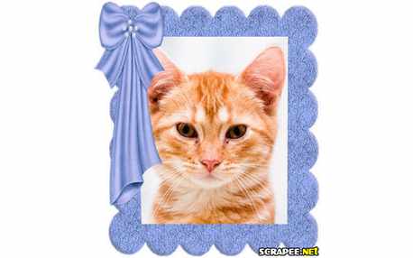 Moldura - Moldura Com Laco