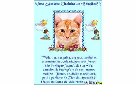 Moldura - Semana Boa Demais