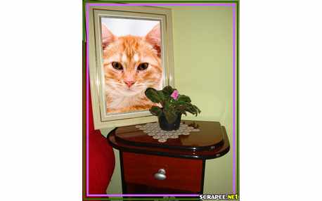 Moldura - Porta Retrato Grande