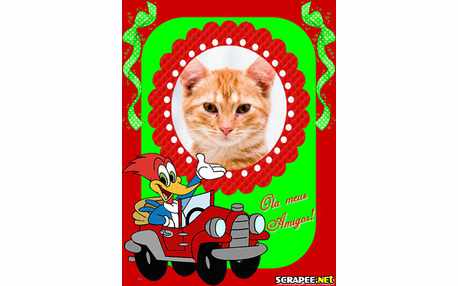 Moldura - Ola Do Pica Pau