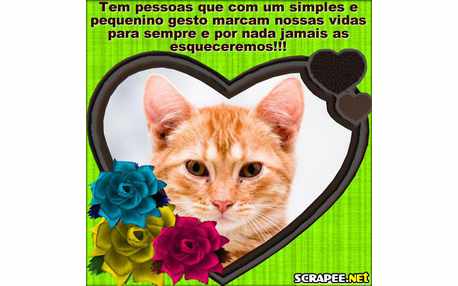 Moldura - Flores Cor Variada