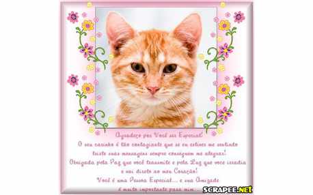 Moldura - Ser Especial