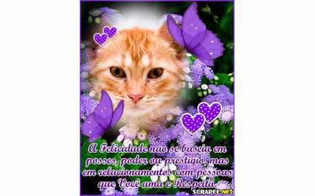 Moldura - Felicidade Se Baseia