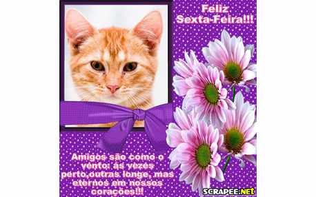 Moldura - Uma Sexta Feliz