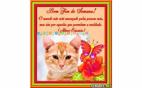 Moldura - Albert Eintein