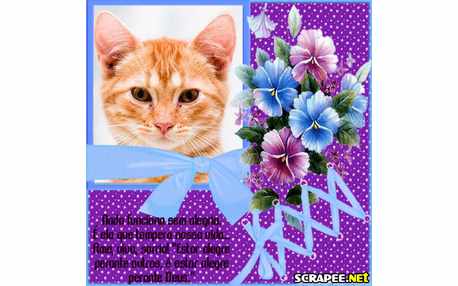 Moldura - Estar Alegre