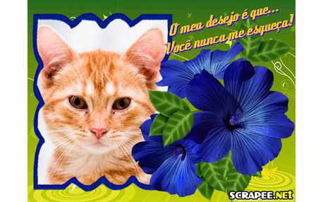 Moldura - Nunca Me Esqueca