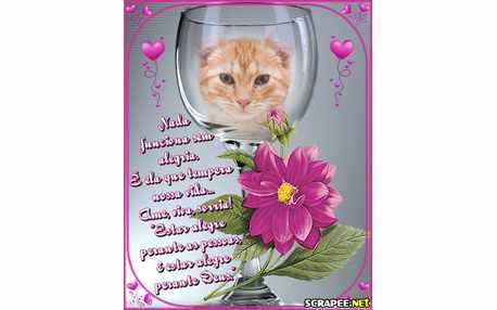 Moldura - Taca Da Alegria