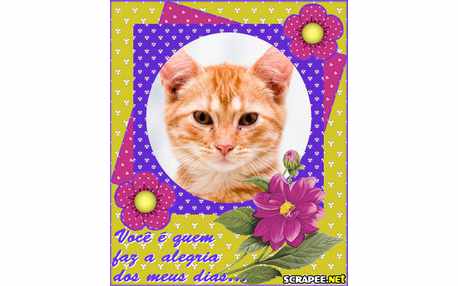 Moldura - Alegria Minha