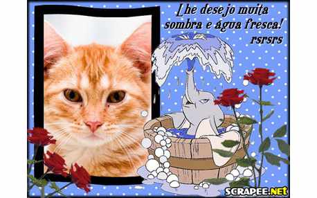 Moldura - Sombra E Agua Fresca