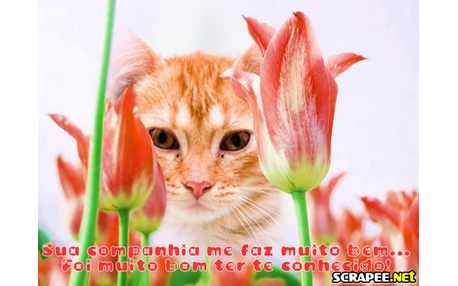 Moldura - Vc Me Faz Bem