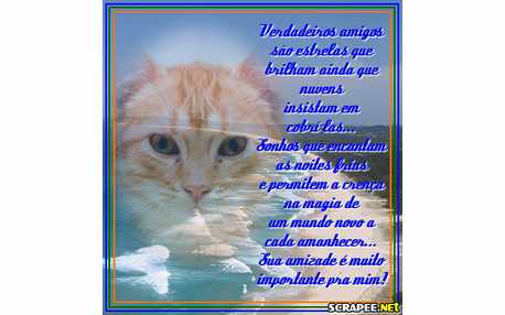 Moldura - Verdadeiros Amigos