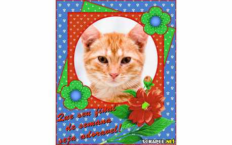 Moldura - Fds Adoravel