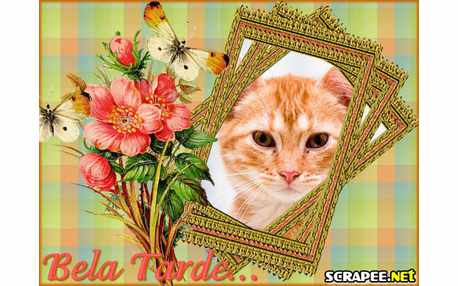 Moldura - Tarde Bela