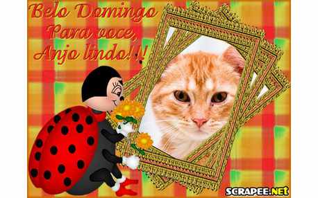 Moldura - Joanina Traz Flores