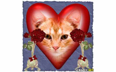 Moldura - Entre Solitarios