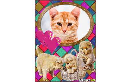 Moldura - Caezinhos Na Sexta