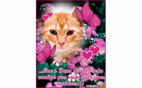 Moldura - Deus De Paz