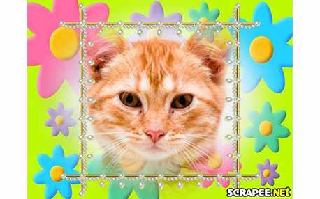 Moldura - Flores Coloridas