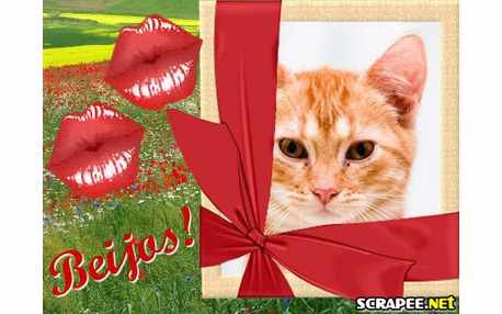 Moldura - Dois Beijos