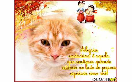 Moldura - Andando No Carrinho