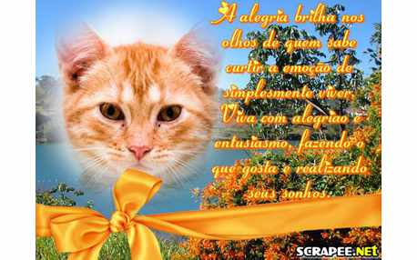 Moldura - Alegria Brilha