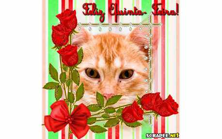 Moldura - Quinta Florida