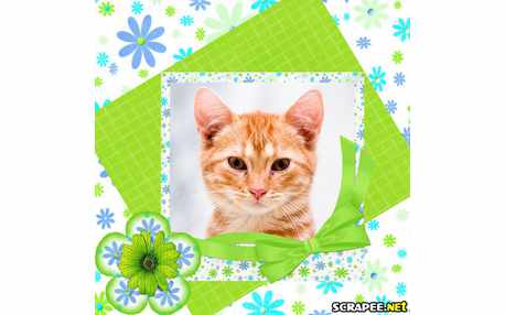 Moldura - Moldura Verde_cana